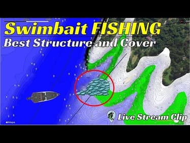 Stop Fishing Swimbaits in the Wrong Areas | FTM Live Stream 74