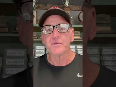 Bass Fishing Stages Of Life