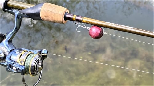 Will Fish Eat a Ball of Wood?