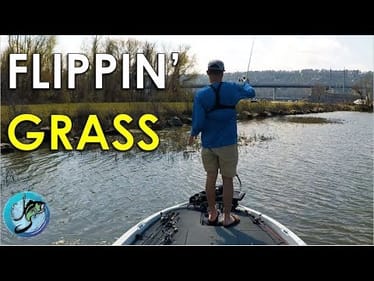 Late Pre-Spawn Fishing for River Bass | Bass Fishing Patterns