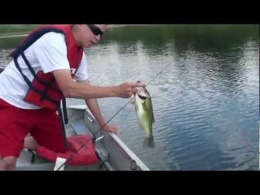 Crazy Post-Spawn Bass Fishing