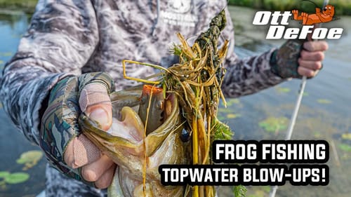 Frog Fishing In Depth
