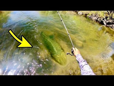 DID THAT ROCK JUST MOVE??! (MONSTER)