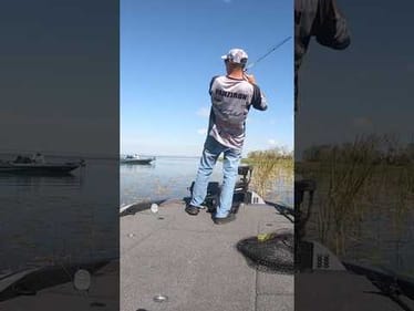Worm 🪱 Fishing on Harris Chain! #shorts #bassfishing #harrischain