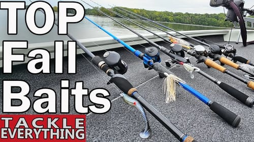 Fish THESE Baits NOW (Baits, Rods & Reels)