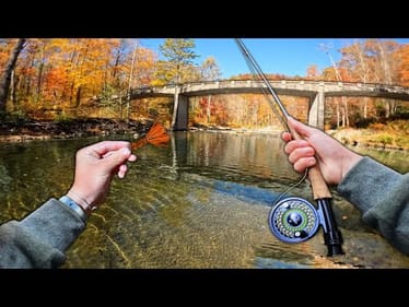 Fishing CRYSTAL CLEAR Mountain Streams For TROUT! — (Fly fishing)