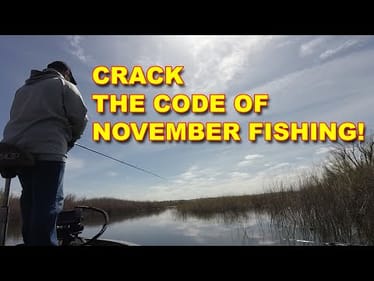 November Bass Fishing Techniques | Bass Fishing