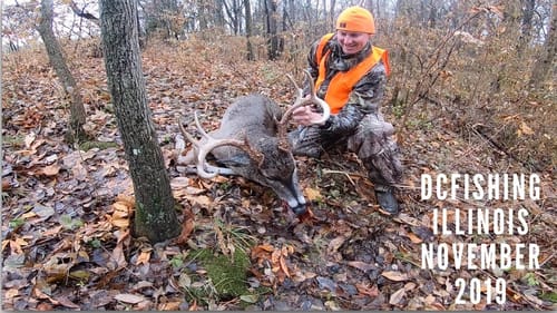 lllinois Whitetail Deer Hunting / Recovery