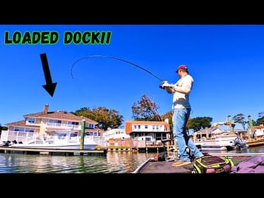 Skipping MILLION DOLLAR DOCKS For AGGRESSIVE FISH!!!