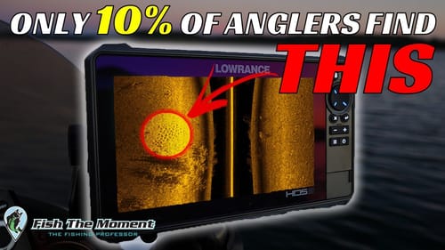 Stop RIGHT NOW If You See This On Your Fish Finder | Side Imaging Bass Fishing Electronics