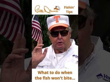 NO ONE catches fish every time they go out... #fishingtips