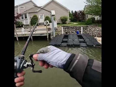 Are You Fishing Here?