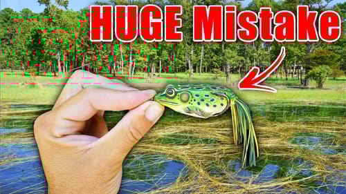 STOP Fishing a Frog in this Grass & Get 20x MORE BITES!!!