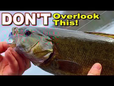 ABSOLUTE BEST Winter Bass Lure You’re Overlooking Right Now