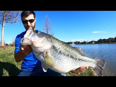 The BEST TACTIC for MONSTER SPRING BASS!