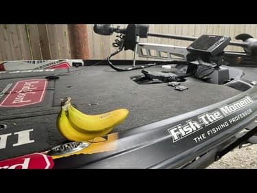 Why Bananas In The Boat Are Bad Luck For Some Anglers