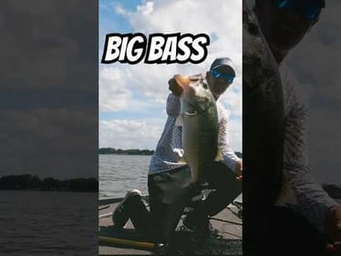 Big Bass 🎣 Skipping Chatterbait Under Docks Harris Chain #shorts #bassfishing #bigbass