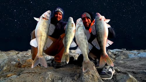 EPIC Night Spillway Fishing for FAT Walleye!!! (Catch & Cook)