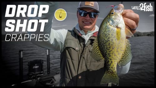 Drop Shotting Crappies in Open Water | New School Tactics
