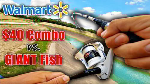 Walmart $50 Budget Bank Fishing Challenge! (Rod/Reel/Tackle/Bait)