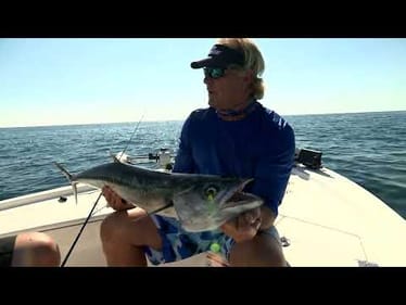 Tampa Kings | Bill Dance Saltwater