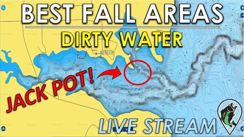 Best Shallow and Offshore Fall Fishing Areas on Dirty Water Lakes | FTM Live Stream #63