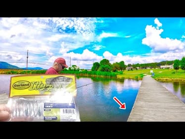 Having Trouble Catching Crappie? This Simple Solution Will Change Everything!