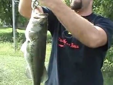 4 lb Bass on Booyah 1/4 oz Buzz Bait tipped with Stanley Ribbit Frog