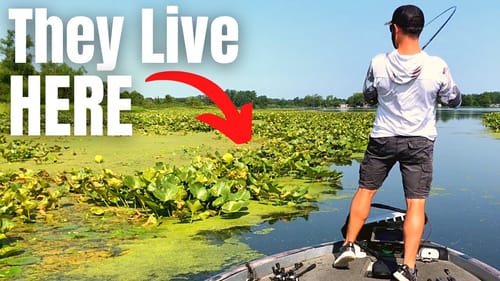 DON'T Be AFRAID To Fish HEAVY COVER For BASS
