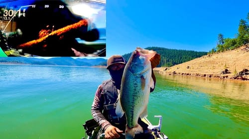 Targeting Big Bass with Livescope