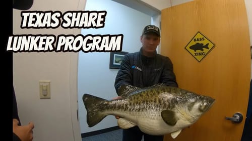 Texas Parks & Wildlife Sharelunker Program Bigger Better Bass