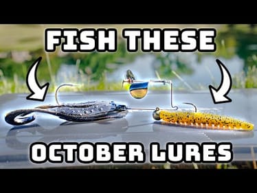 October Fishing Lures Everyone Needs To Throw!