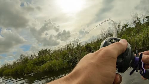 The Most Action Packed Fishing Session I've Ever Had