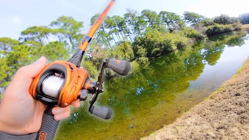 Fishing JIGS in CLEAR Water Pond (Bank Fishing)