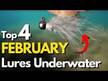 Underwater Look at Top 4 February Lures (And WHY They Work)