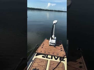 Skinny Water Freedom
