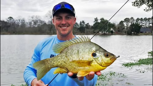 Catching MONSTER Bluegill & Crappie Pond Fishing! (HUGE)
