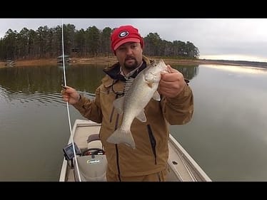 Prespawn Bass Fishing
