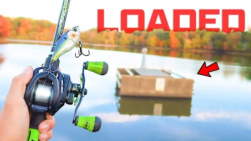 This SMALL Lake is LOADED w/ GIANT Bass! (Spring Fishing)