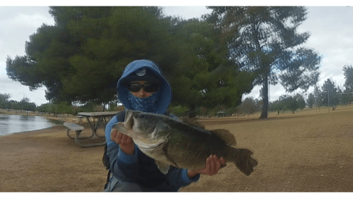 How I Got Into Throwing Big Swimbaits Part I - An Urban Giant!
