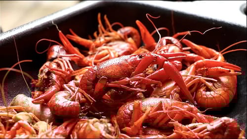 CRAWFISH Boil and Bass Pond Upgrades!!
