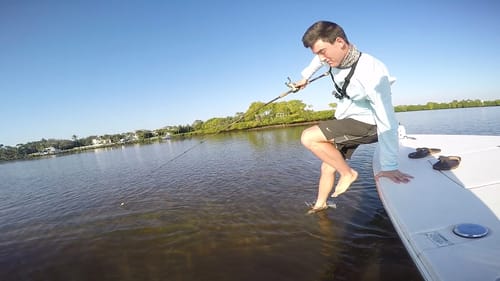 Jumping in the Water to Chase a Shark