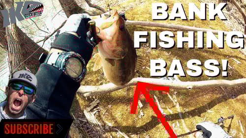 BANK FISHING BASS!