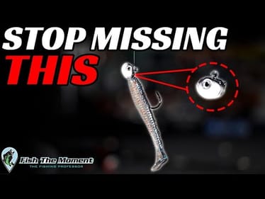 I’m Only Throwing This Jig Head Right Now – You Should Be Too
