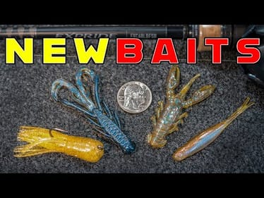 These NEW BAITS Are Catching BIG BASS This Fall!