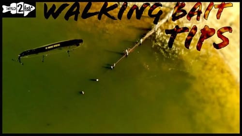 4 Reasons Walking Topwater Baits Outperform