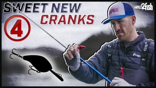4 New Bass Crankbaits Worth Your Money | Jacob Wheeler Weighs In