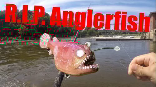 Fishing With an Anglerfish Lure
