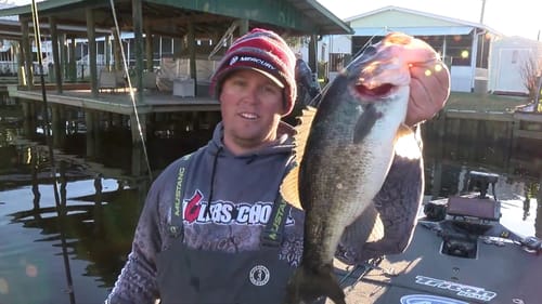 Best Catches from the St. Johns River