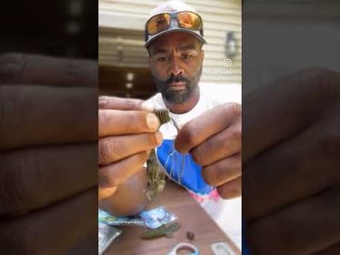 My favorite chatterbait trailer